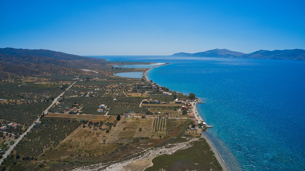 Οικόπεδο 6.778 τ.μ. προς πώληση, Πηγάδια Ερμιόνης
