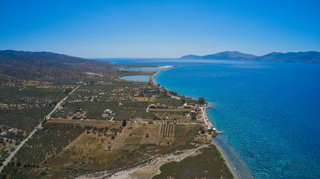 Οικόπεδο 6.778 τ.μ. για πώληση