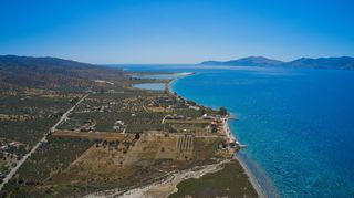 Οικόπεδο 6.778 τ.μ. για πώληση