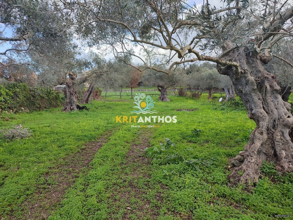 Οικόπεδο 1.826 τ.μ. πρός πώληση, Ν. Ρεθύμνου, Νικηφόρος Φωκάς