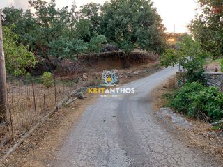 Αγροτεμάχια 2.000 τ.μ. για πώληση, Ν. Ρεθύμνου, Ρέθυμνο-thumb-4