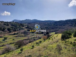 Οικόπεδο 149.953,60 τ.μ. για πώληση