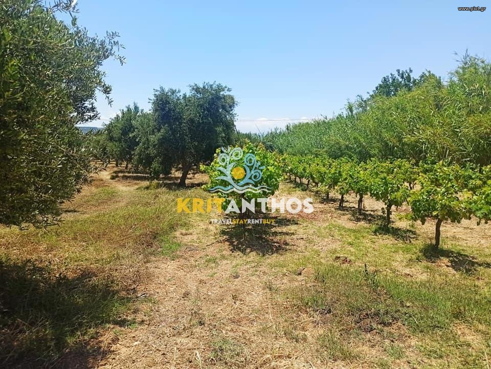Οικόπεδο 9.027,09 τ.μ. πρός πώληση, Ν. Ρεθύμνου, Αρκάδι