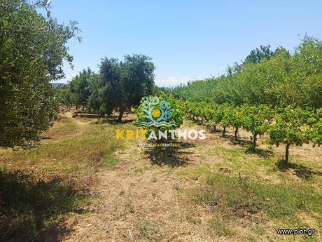 Land plot 9.027,09sqm for sale-Arkadi » Adelianos Kabos