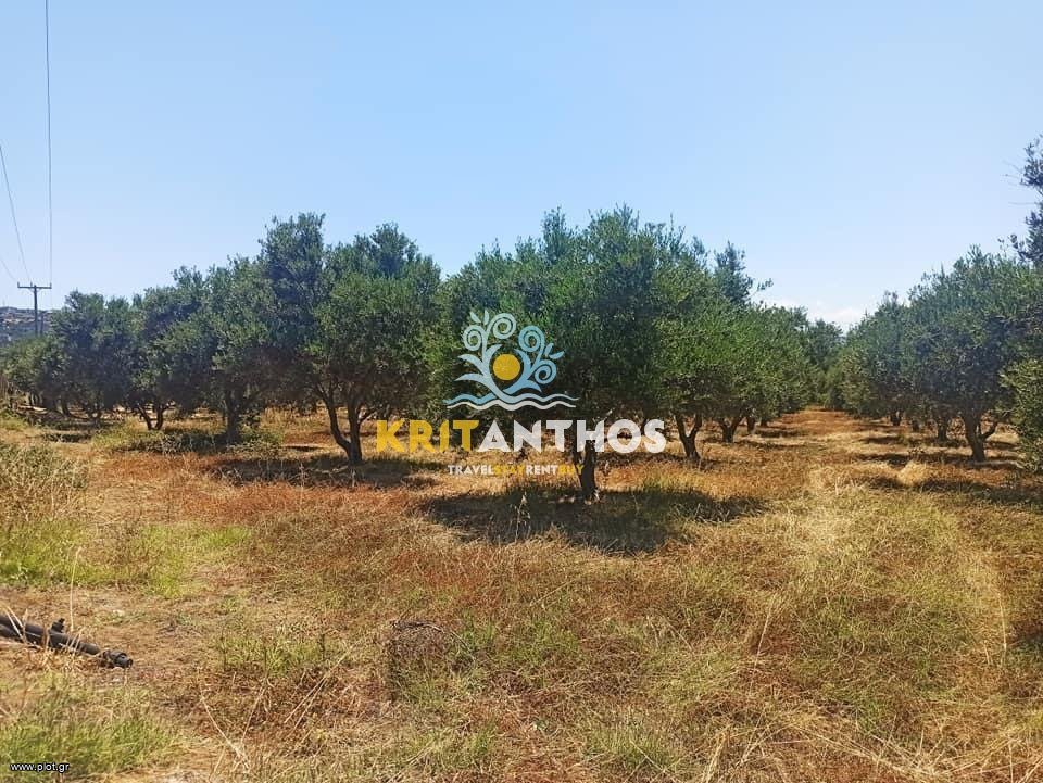 Οικόπεδο 9.027,09 τ.μ. πρός πώληση, Ν. Ρεθύμνου, Αρκάδι