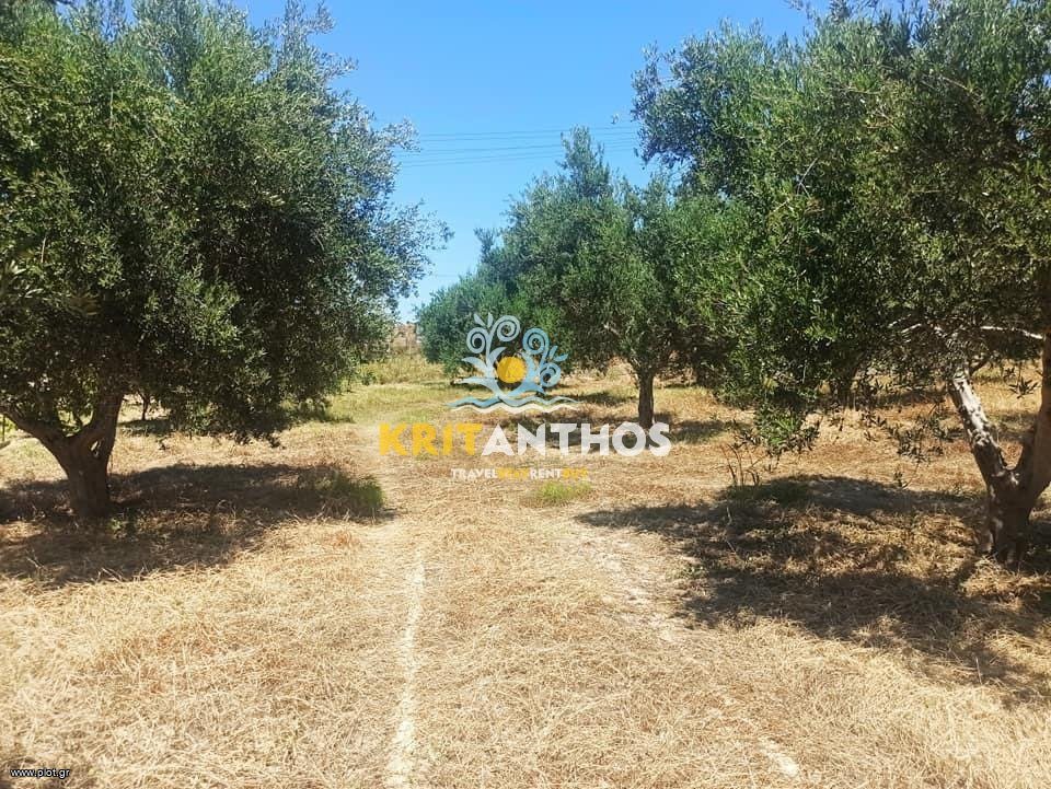 Οικόπεδο 9.027,09 τ.μ. πρός πώληση, Ν. Ρεθύμνου, Αρκάδι