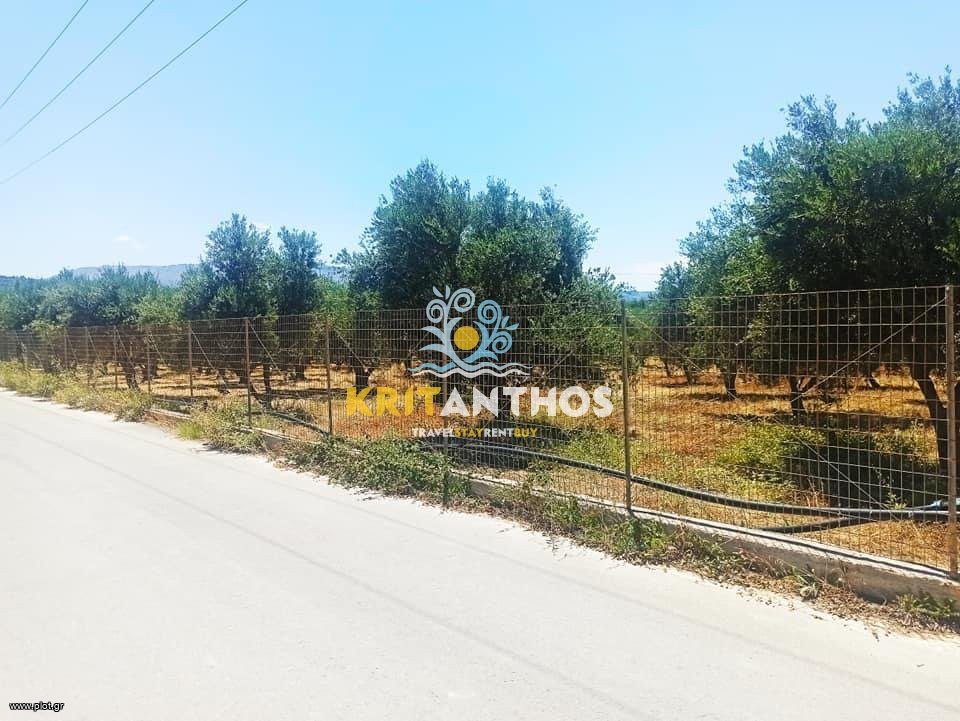 Οικόπεδο 9.027,09 τ.μ. πρός πώληση, Ν. Ρεθύμνου, Αρκάδι