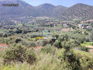 Οικόπεδο 2.000 τ.μ. για πώληση