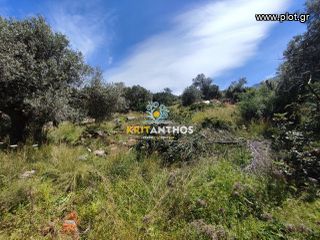 Οικόπεδο 2.000 τ.μ. για πώληση, Ν. Ρεθύμνου, Γεροπόταμος-thumb-4