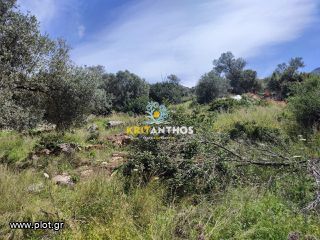 Οικόπεδο 2.000 τ.μ. για πώληση, Ν. Ρεθύμνου, Γεροπόταμος-thumb-8