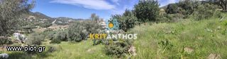 Οικόπεδο 2.000 τ.μ. για πώληση, Ν. Ρεθύμνου, Γεροπόταμος-thumb-12