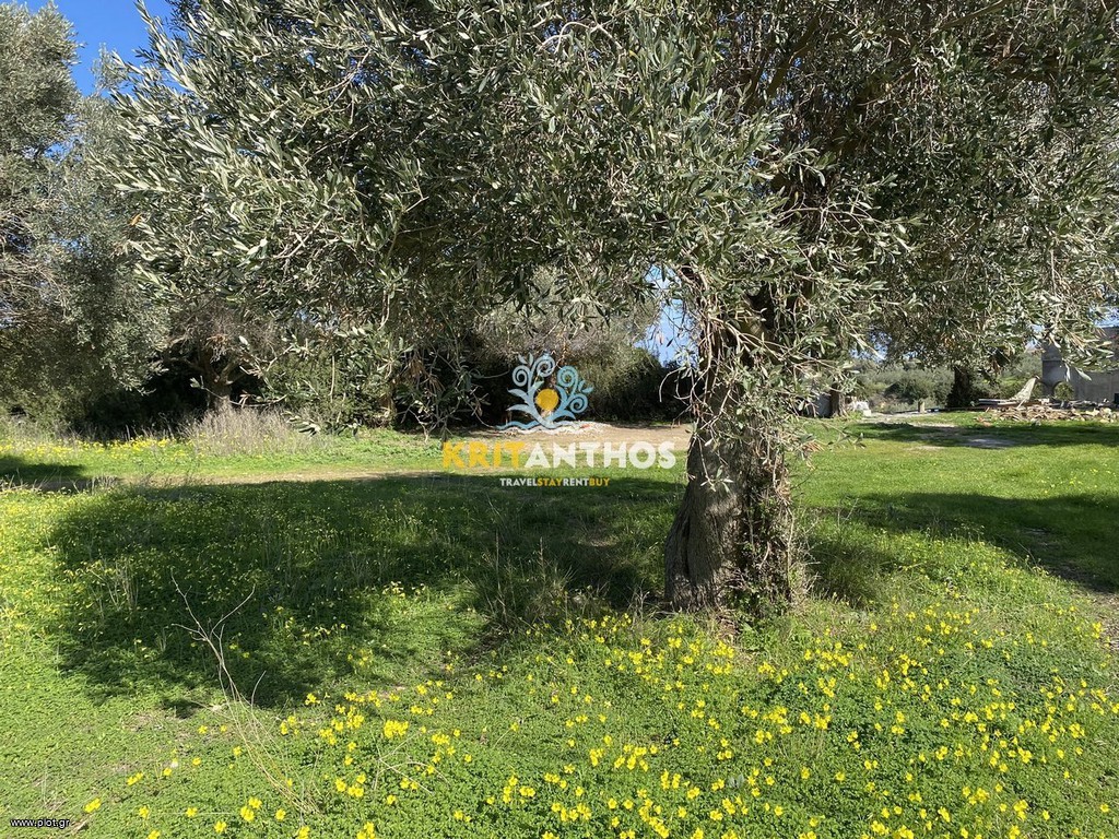 Οικόπεδο 1.386 τ.μ. πρός πώληση, Ν. Ρεθύμνου, Αρκάδι