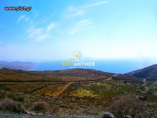 Οικόπεδο 12.712 τ.μ. για πώληση