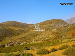 Οικόπεδο 12.712 τ.μ. για πώληση, Ν. Ρεθύμνου, Λάμπη-thumb-1