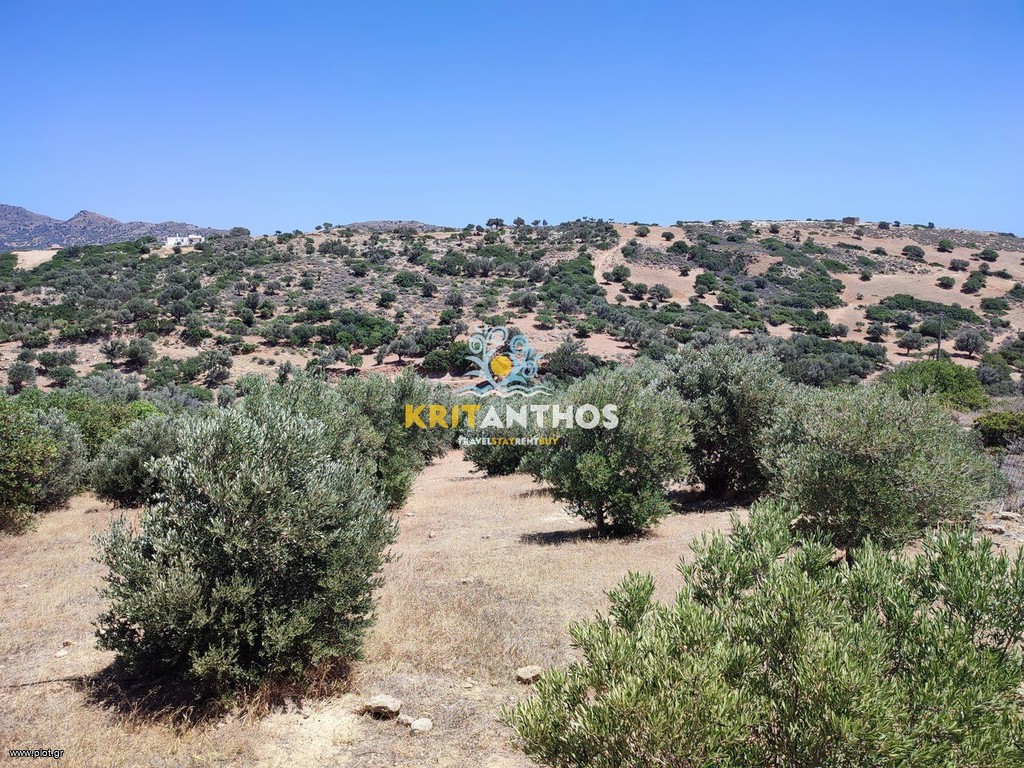 Οικόπεδο 4.330,18 τ.μ. πρός πώληση, Ν. Ρεθύμνου, Λάμπη