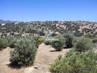 Οικόπεδο 4.330,18 τ.μ. για πώληση, Ν. Ρεθύμνου, Λάμπη-thumb-2