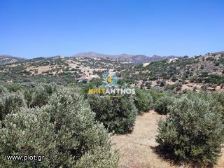 Οικόπεδο 4.330,18 τ.μ. για πώληση, Ν. Ρεθύμνου, Λάμπη-thumb-7
