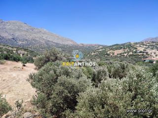 Οικόπεδο 4.330,18 τ.μ. για πώληση, Ν. Ρεθύμνου, Λάμπη-thumb-8