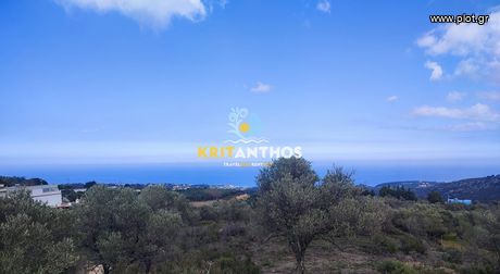 Land plot 5.000sqm for sale-Rethimno » Mikro Metochi