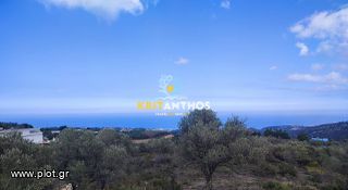 Οικόπεδο 5.000 τ.μ. για πώληση