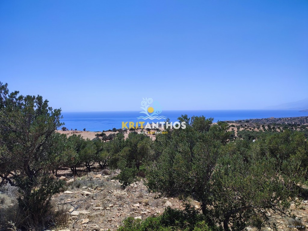 Οικόπεδο 6.339,86 τ.μ. πρός πώληση, Ν. Ρεθύμνου, Λάμπη