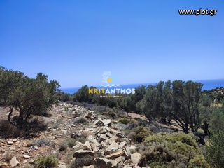 Οικόπεδο 6.339,86 τ.μ. για πώληση, Ν. Ρεθύμνου, Λάμπη-thumb-8