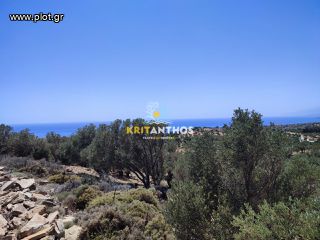 Οικόπεδο 6.339,86 τ.μ. για πώληση, Ν. Ρεθύμνου, Λάμπη-thumb-9