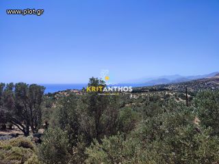 Οικόπεδο 6.339,86 τ.μ. για πώληση, Ν. Ρεθύμνου, Λάμπη-thumb-10
