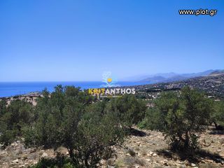 Οικόπεδο 6.339,86 τ.μ. για πώληση, Ν. Ρεθύμνου, Λάμπη-thumb-11