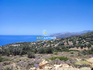 Οικόπεδο 6.339,86 τ.μ. για πώληση, Ν. Ρεθύμνου, Λάμπη-thumb-12
