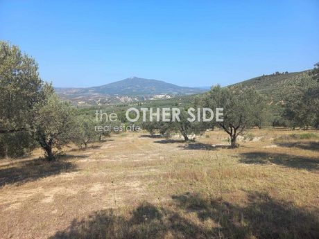 Αγροτεμάχια 10.000τ.μ. για πώληση-Τενέα » Σπαθοβούνι