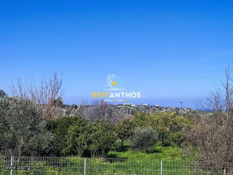 Land plot 5.500sqm for sale-Arkadi » Pigi
