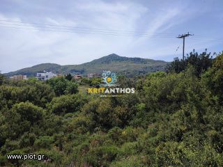Οικόπεδο 2.000 τ.μ. για πώληση, Ν. Ρεθύμνου, Ρέθυμνο-thumb-5