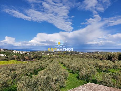 Land plot 5.500sqm for sale-Arkadi » Agia Paraskeui
