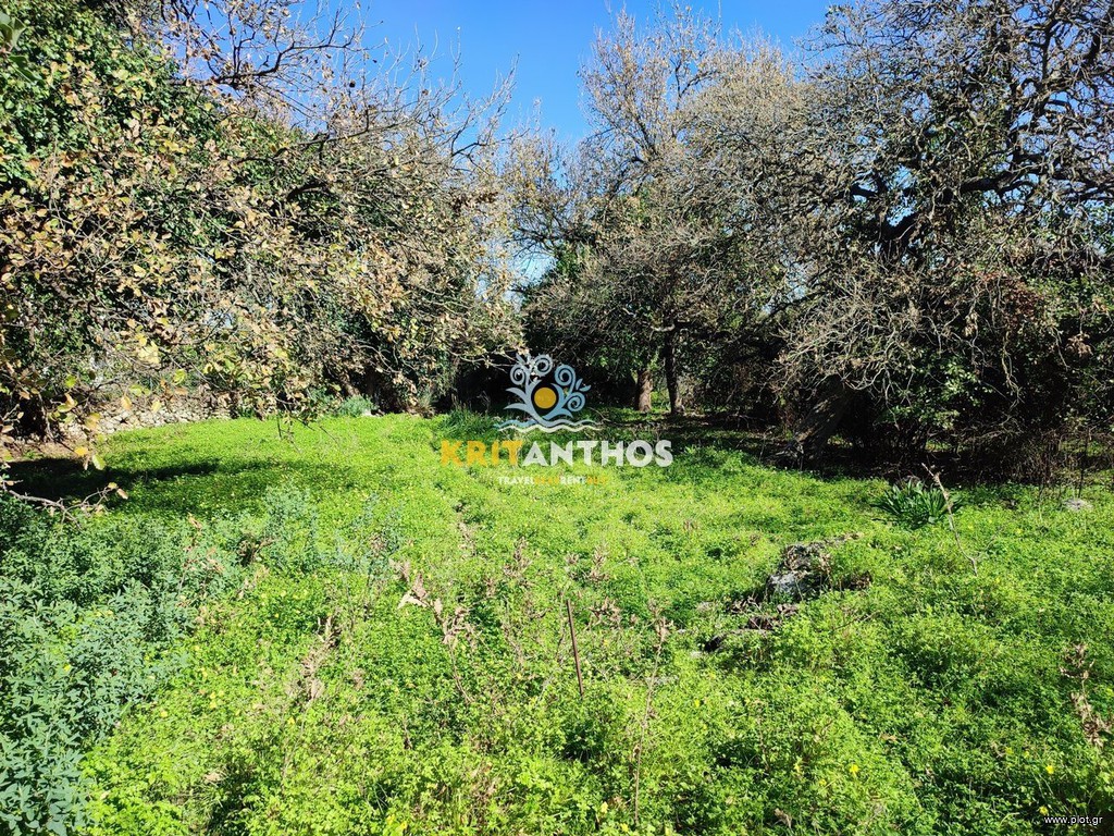 Οικόπεδο 600 τ.μ. πρός πώληση, Ν. Ρεθύμνου, Νικηφόρος Φωκάς