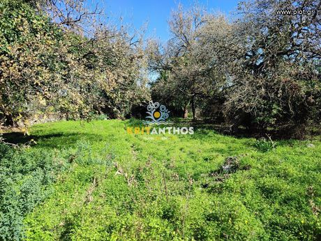 Land plot 600sqm for sale-Nikiforos Fokas » Prines