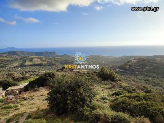 Αγροτεμάχια 812 τ.μ. για πώληση
