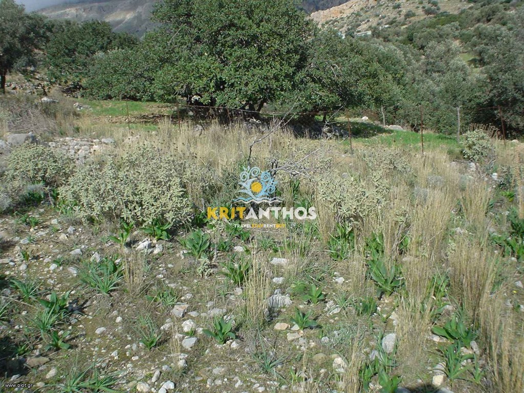 Αγροτεμάχια 812 τ.μ. πρός πώληση, Ν. Ρεθύμνου, Λάμπη