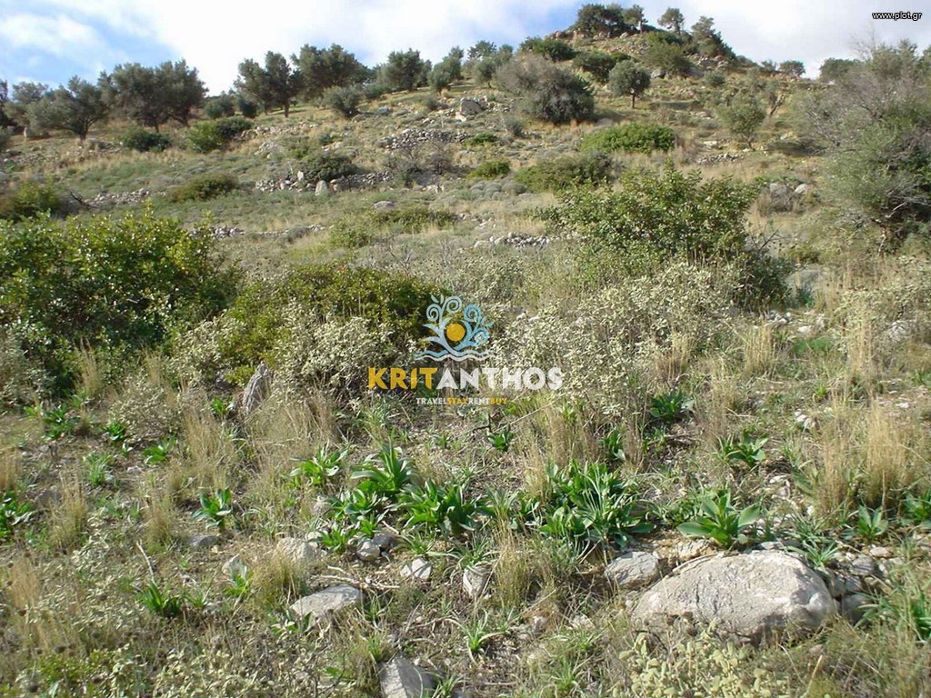 Αγροτεμάχια 812 τ.μ. πρός πώληση, Ν. Ρεθύμνου, Λάμπη