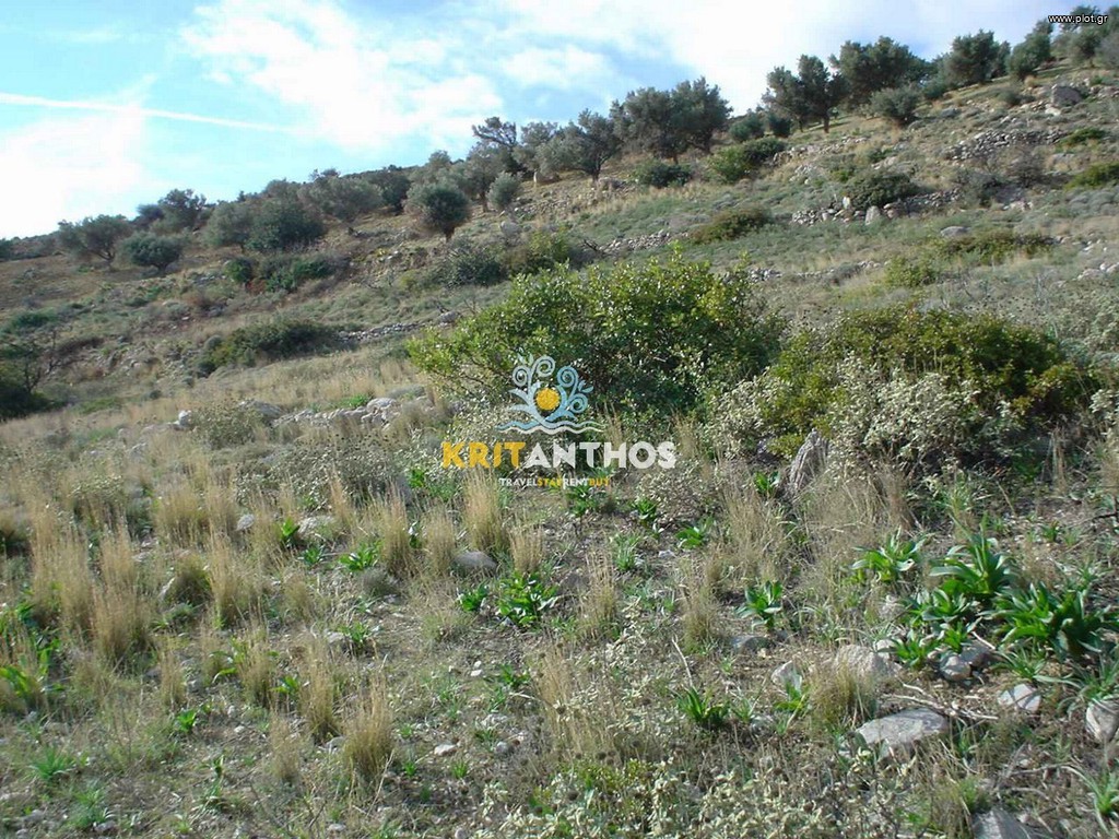 Αγροτεμάχια 812 τ.μ. πρός πώληση, Ν. Ρεθύμνου, Λάμπη