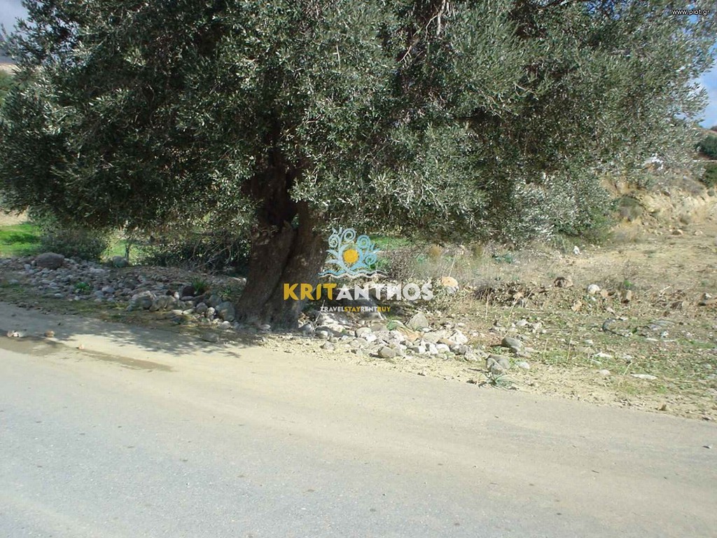 Αγροτεμάχια 812 τ.μ. πρός πώληση, Ν. Ρεθύμνου, Λάμπη