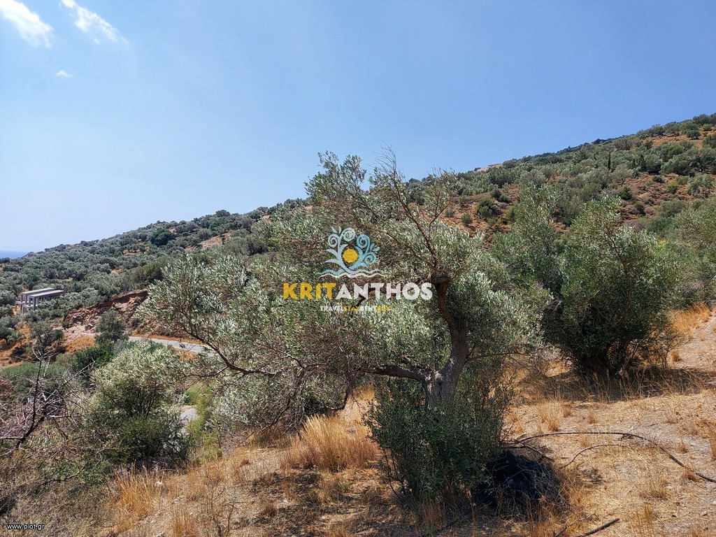 Οικόπεδο 1.360 τ.μ. πρός πώληση, Ν. Ρεθύμνου, Φοινίκας