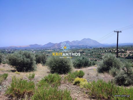 Οικόπεδο 4.500 τ.μ. για πώληση