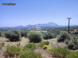 Οικόπεδο 4.500 τ.μ. για πώληση