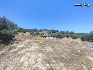 Οικόπεδο 4.500 τ.μ. για πώληση, Ν. Ρεθύμνου, Γεροπόταμος-thumb-6