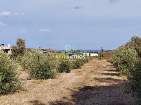 Οικόπεδο 1.100 τ.μ. για πώληση