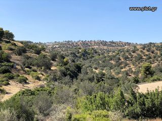 Οικόπεδο 436 τ.μ. για πώληση, Αργολίδα, Κρανίδι-thumb-5