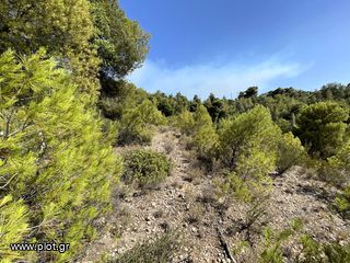 Οικόπεδο 436 τ.μ. για πώληση, Αργολίδα, Κρανίδι-thumb-13