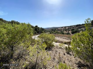 Οικόπεδο 436 τ.μ. για πώληση, Αργολίδα, Κρανίδι-thumb-14