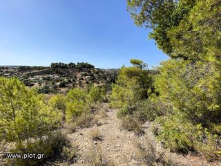 Οικόπεδο 436 τ.μ. για πώληση, Αργολίδα, Κρανίδι-thumb-16